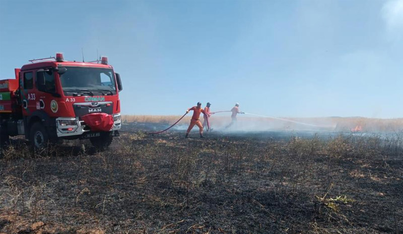 BİNGÖL`DE YAKLAŞIK 100 DÖNÜMLÜK TARIM ALANI  YANDI