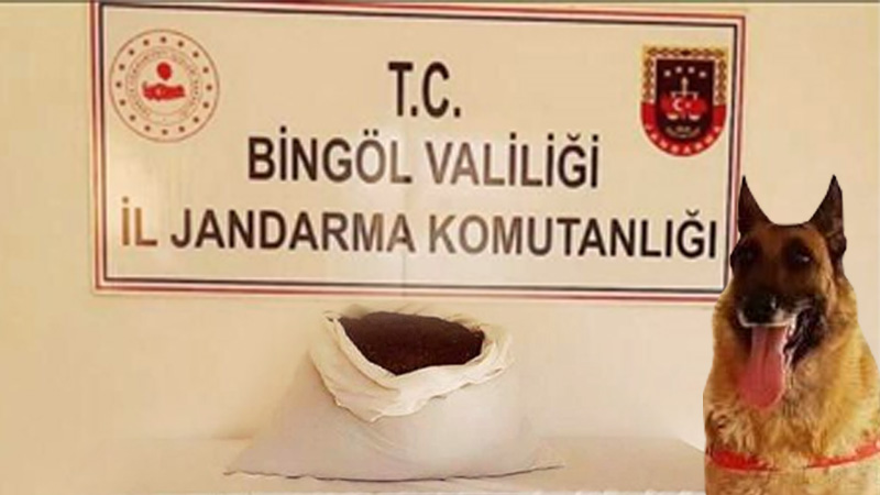 BİNGÖL`DE 15  KİLO UYUŞTURUCU MADDE YAKALANDI