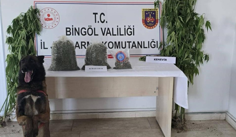 KENEVİR VE KUBAR ESRAR ELE GEÇİRİLDİ